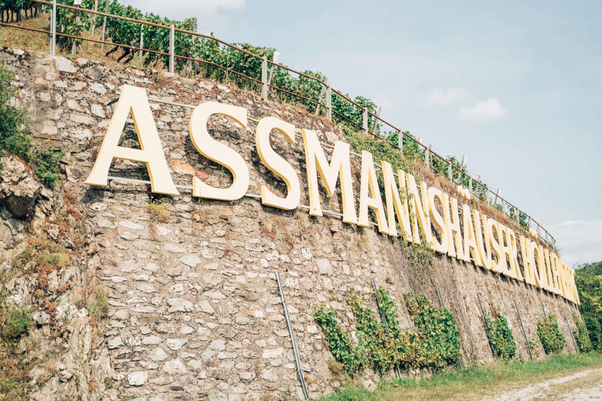 Akzent Hotel Berg'S Alte Bauernschaenke- Wellness Und Wein Rüdesheim nad Renem Zewnętrze zdjęcie
